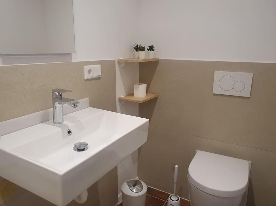 Apartment Apartment-top Lage Koeln